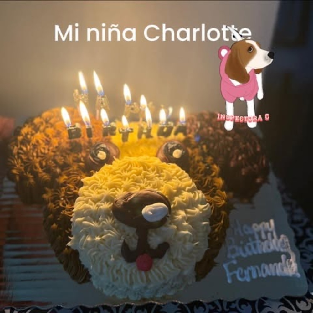 Meet your Posher, Fernanda